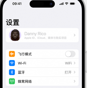 浉河appleID维修服务iPhone设置中Apple ID显示为灰色无法使用 