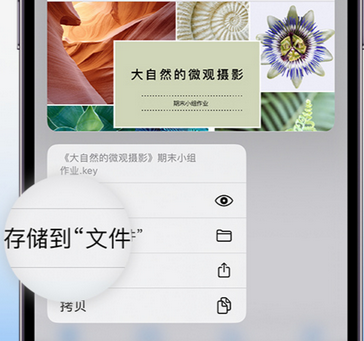 浉河apple维修中心分享iPhone文件应用中存储和找到下载文件