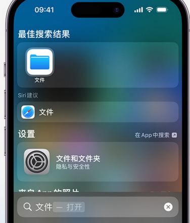 浉河apple维修中心分享iPhone文件应用中存储和找到下载文件 