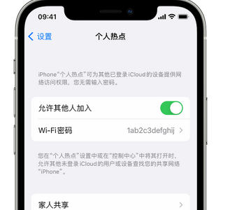 浉河apple服务站点分享iPhone上个人热点丢失了怎么办