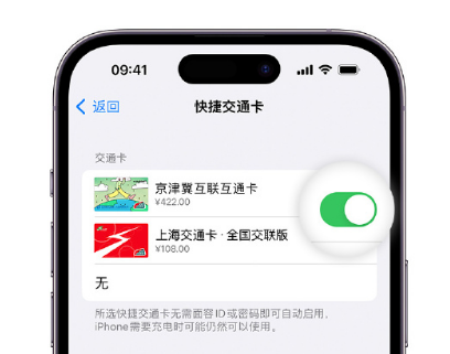 浉河apple维修点分享iPhone上更换Apple Pay快捷交通卡手绘卡面 