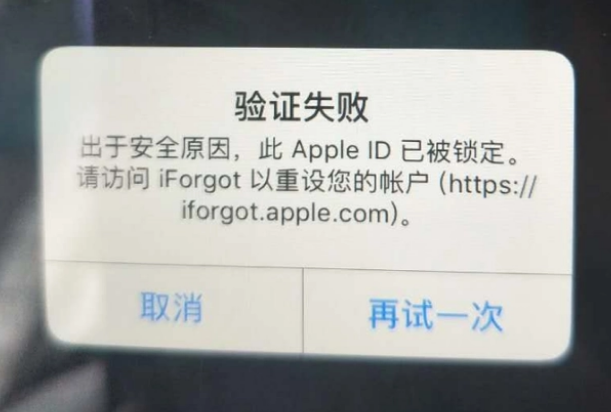 浉河iPhone维修分享iPhone上正常登录或使用AppleID怎么办 