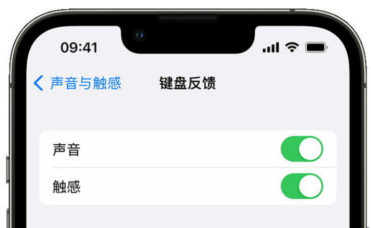 浉河苹果手机维修分享iPhone 14触感键盘使用方法 