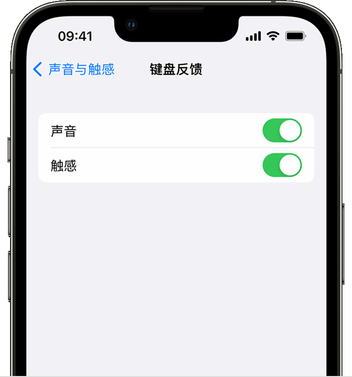 浉河苹果14维修店分享如何在 iPhone 14 机型中使用触感键盘 