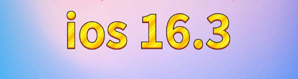 浉河苹果服务网点分享苹果iOS16.3升级反馈汇总 