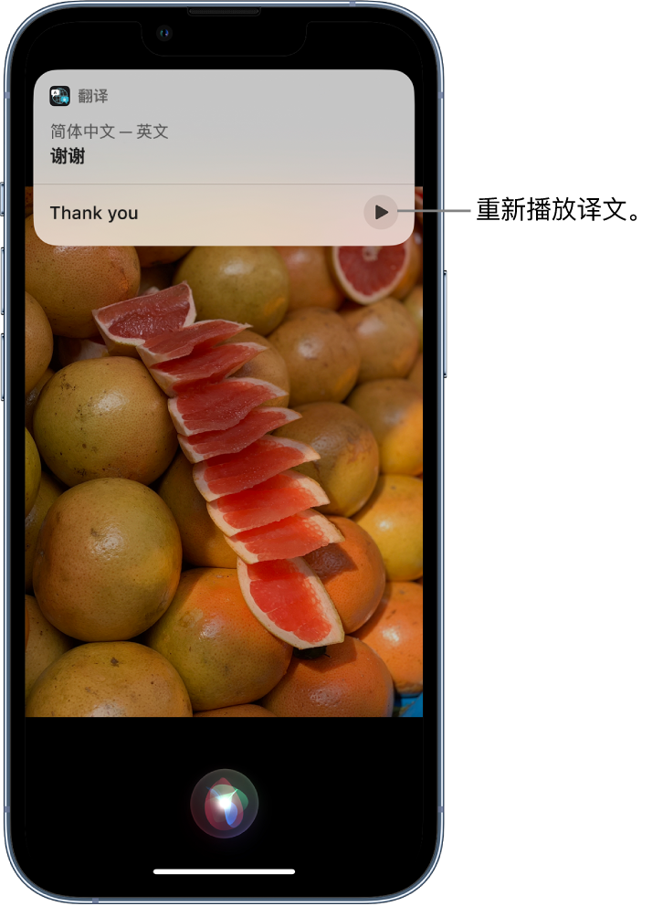 浉河苹果14维修分享 iPhone 14 机型中使用 Siri：了解 Siri 能帮你做什么 