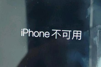 浉河苹果服务网点分享锁屏界面显示“iPhone 不可用”如何解决 