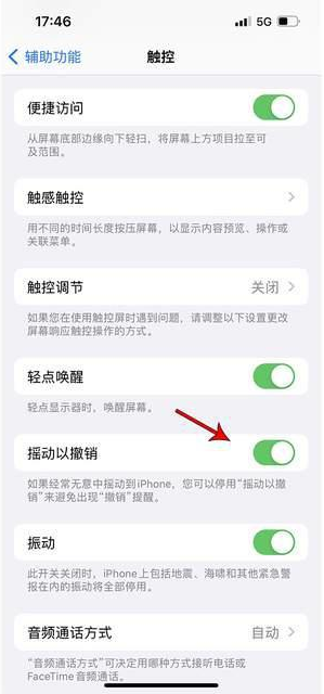 浉河苹果手机维修分享iPhone手机如何设置摇一摇删除文字 